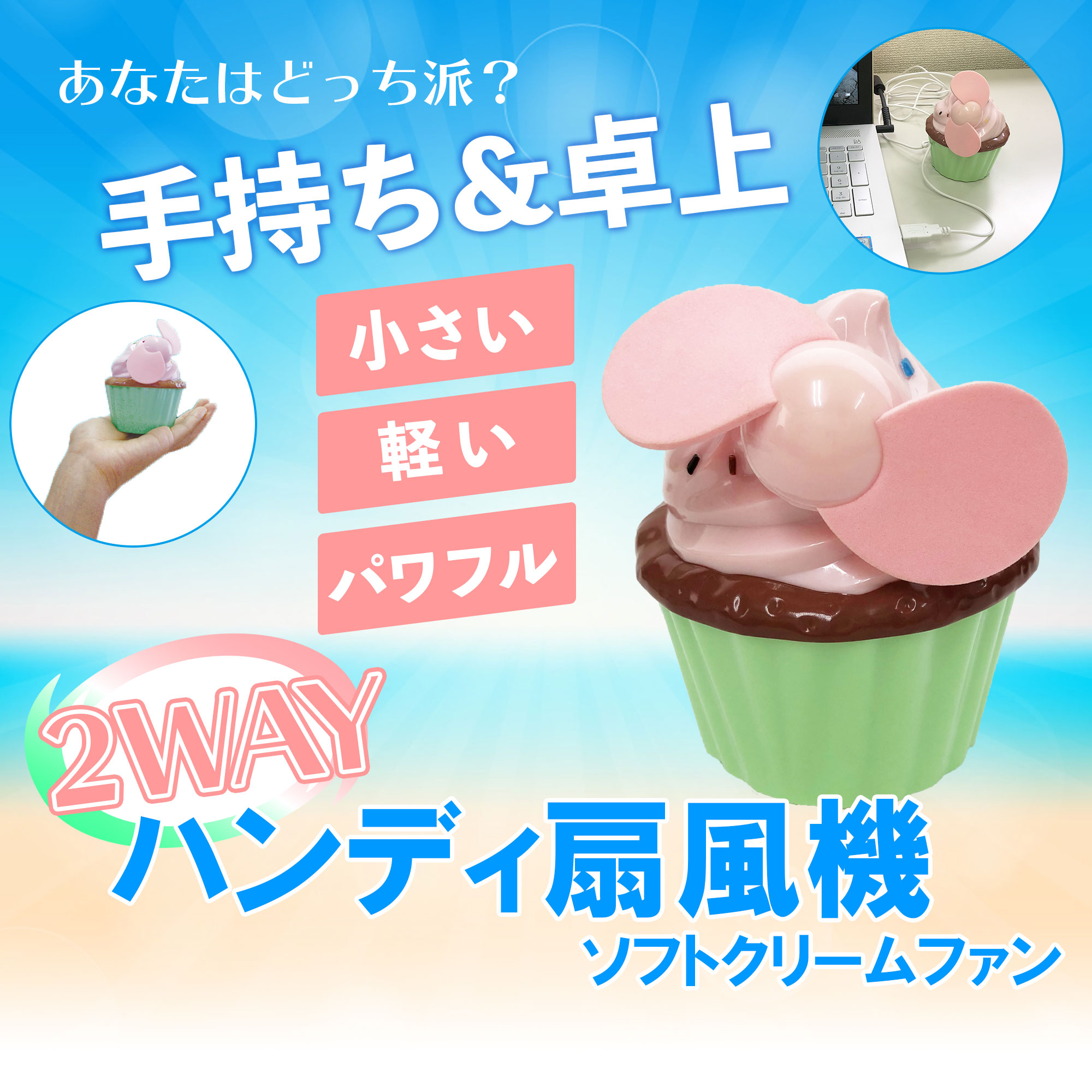 写真の説明を入れます